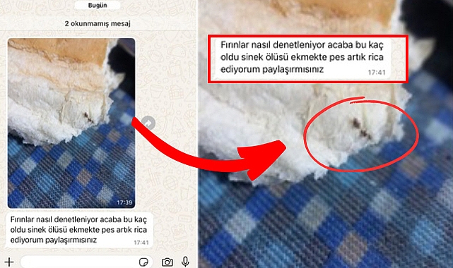 Vatandaşımızdan Tepki: “Ekmeğin İçinden Sinek Çıktı”