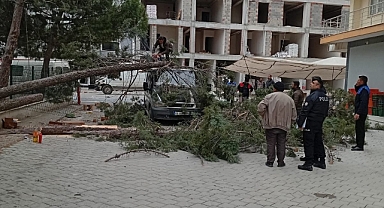 FIRTINA AĞACI KÖKÜNDEN SÖKTÜ, ARAÇ ZARAR GÖRDÜ