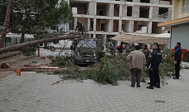 FIRTINA AĞACI KÖKÜNDEN SÖKTÜ, ARAÇ ZARAR GÖRDÜ