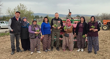 DİNAR'IN BEREKETLİ TOPRAKLARI KEKİK İLE BULUŞTU!