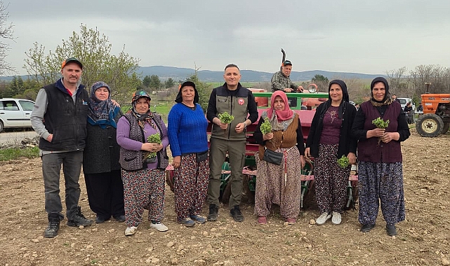 DİNAR'IN BEREKETLİ TOPRAKLARI KEKİK İLE BULUŞTU!